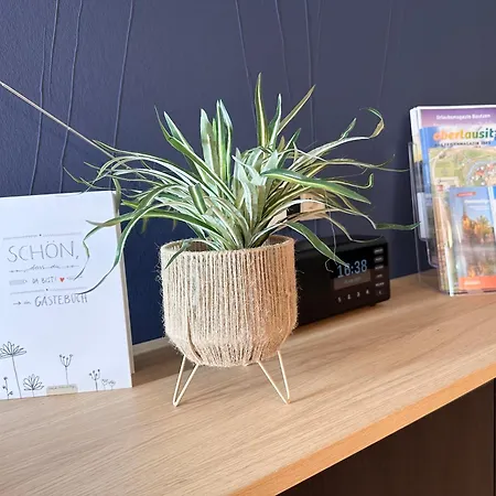 Alte Maedchenschule, Sauna, 6 Personen, Hund, Am Saurierpark, Boxsprinbetten, Gratis Kaffee Und Tee, Minibar